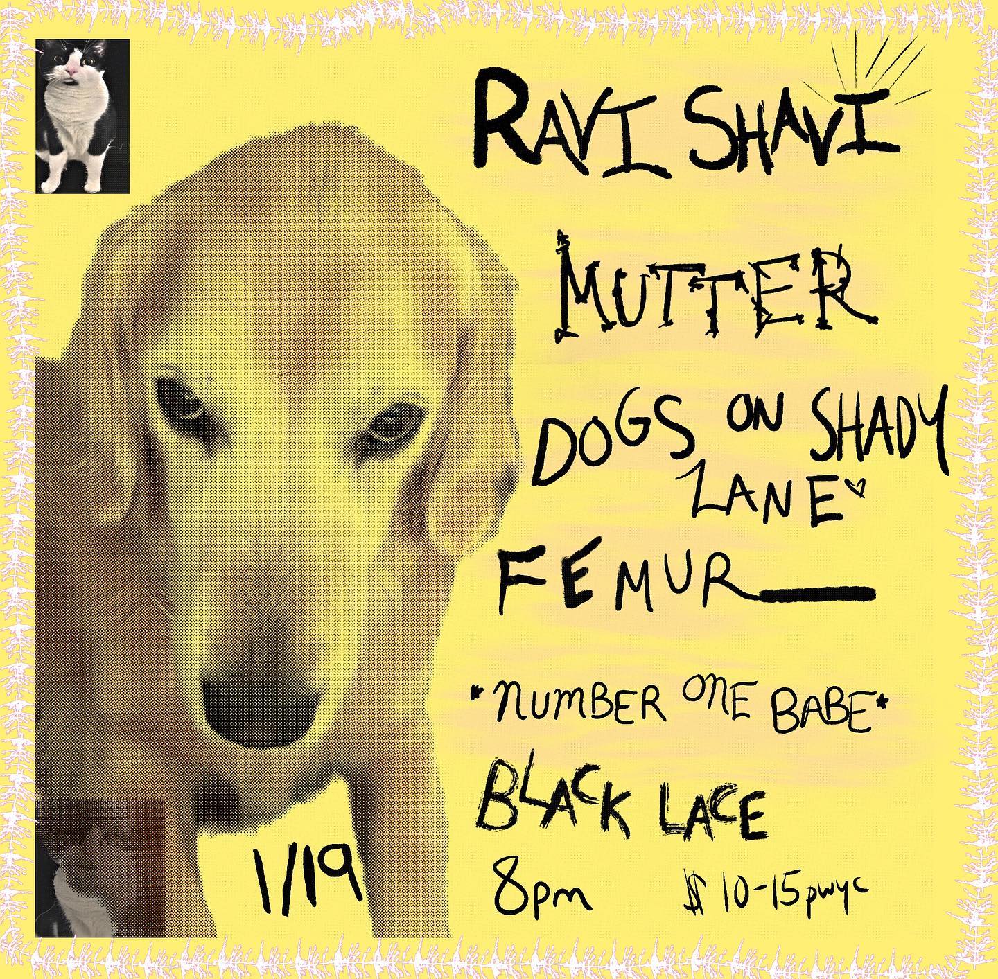 Flyer for 'Ravi Shavi // Mutter // Dogs on Shady Lane // Femur // Number One Babe'