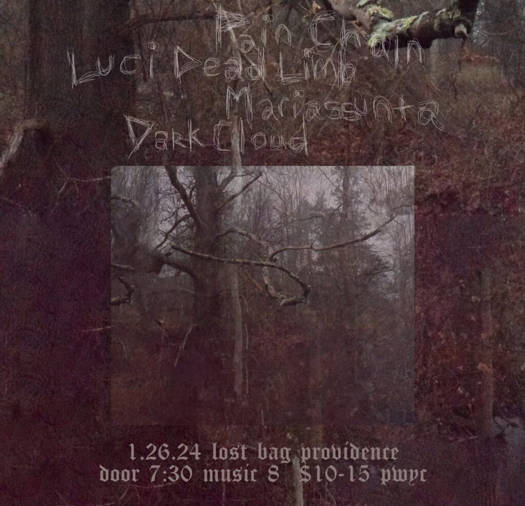 Flyer for 'Dark Cloud / Pain Chain / Luci Dead Limb / Mariassunta'