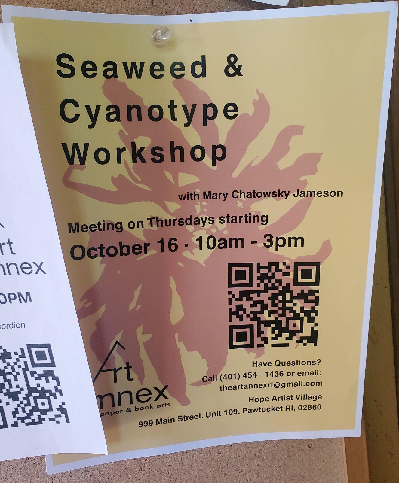 Flyer for 'Seaweed & Cyanotype Workshop'