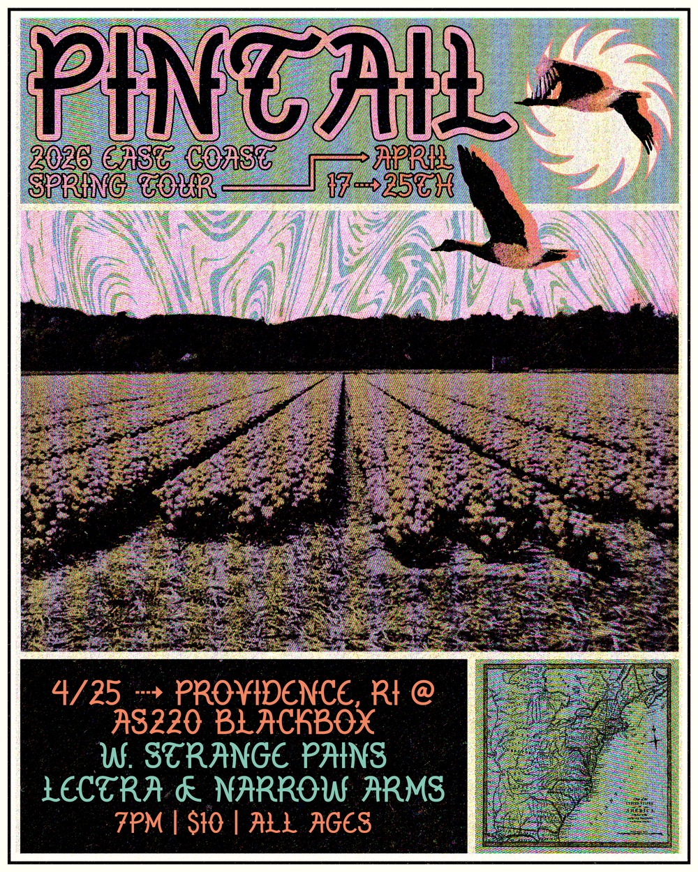 Flyer for 'Pintail + Strange Pains + Lectra + Narrow Arms'